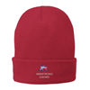 Picture of Port & Company® Fleece-Lined Knit Cap ( CP90L )